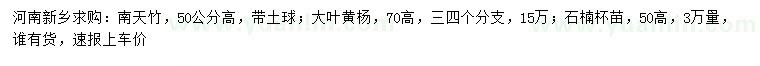 求購南天竹、大葉黃楊、石楠