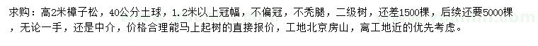 求購高2米樟子松