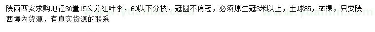 求購30量15公分紅葉李