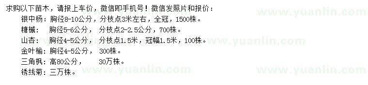 求購銀中楊、糖槭、山杏等