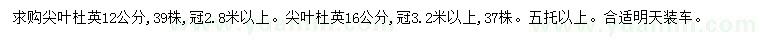 求購12、16公分尖葉杜英