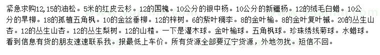 求購油松、紅皮云杉、國槐等