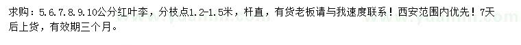 求購5、6、7、8、9、10公分紅葉李
