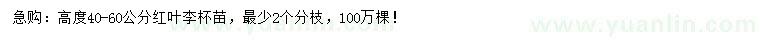 求購(gòu)高40-60公分紅葉李
