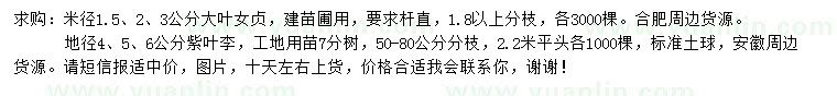 求購米徑1.5、2、3公分大葉女貞，地徑4、5、6公分紫葉李