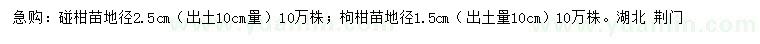 求購10量1.5、2.5公分椪柑樹