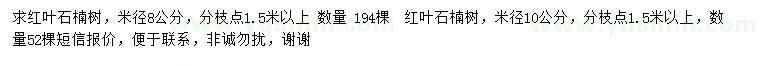 求購米徑8、10公分紅葉石楠