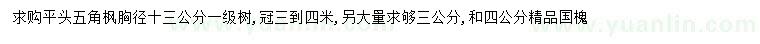 求購(gòu)胸徑13公分五角楓、3、4公分國(guó)槐