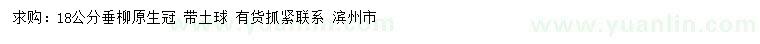 求購18公分垂柳