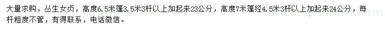 求購高6.5、7米叢生女貞