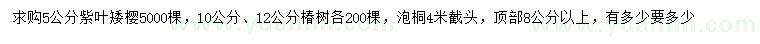求購紫葉矮櫻、椿樹、泡桐