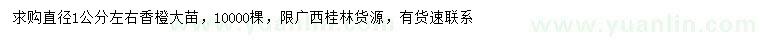 求購直徑1公分香橙樹