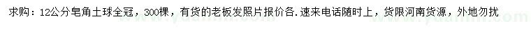 求購12公分皂角