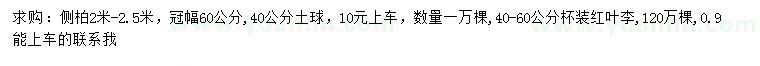 求購2-2.5米側(cè)柏、40-60公分紅葉李