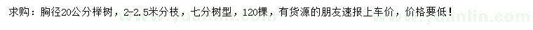 求購胸徑20公分櫸樹