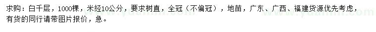 求購米徑10公分白千層