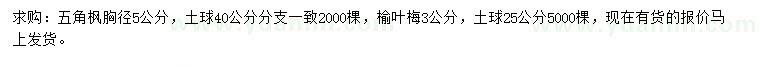 求購胸徑5公分五角楓、3公分榆葉梅