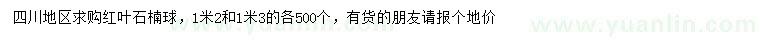 求購1.2、1.3米紅葉石楠球