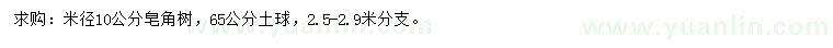 求購米徑10公分皂角樹