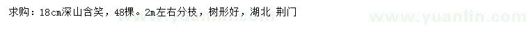 求購18公分深山含笑