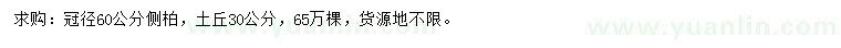 求購冠幅60公分側(cè)柏