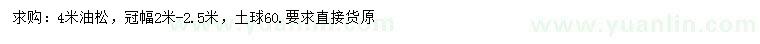 求購4米油松
