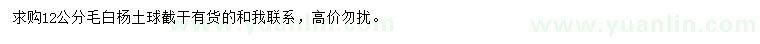 求購12公分毛白楊