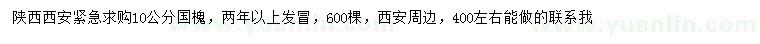 求購10公分國槐
