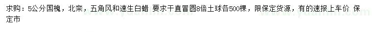 求購(gòu)國(guó)槐、北欒、五角楓等