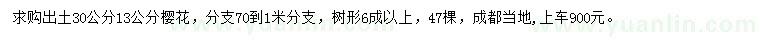 求購(gòu)30量13公分櫻花