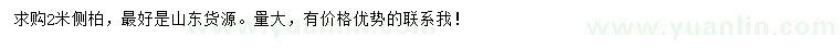 求購2米側柏