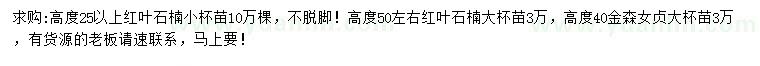 求購(gòu)高25公分以上、50公分紅葉石楠、40公分金森女貞