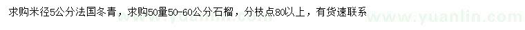 求購(gòu)米徑5公分法國(guó)冬青、50量50-60公分石榴樹(shù)