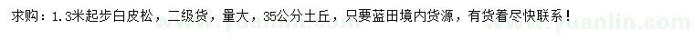 求購1.3米以上白皮松