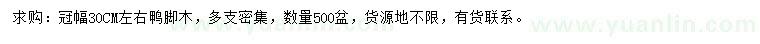求購冠幅30公分鴨腳木