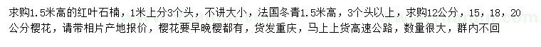 求購(gòu)紅葉石楠、法國(guó)冬青、櫻花