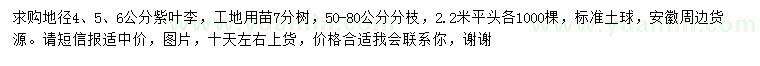 求購地徑4、5、6公分紫葉李
