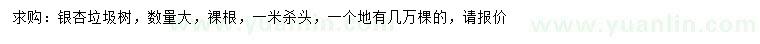 求購銀杏