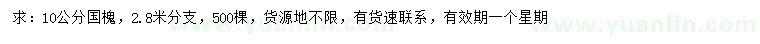 求購10公分國槐