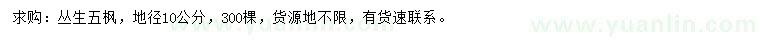 求購地徑15公分叢生五角楓