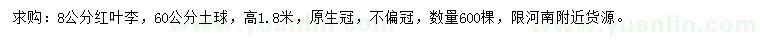 求購(gòu)8公分紅葉李