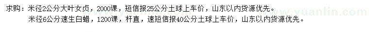 求購(gòu)米徑2公分大葉女貞、6公分速生白蠟