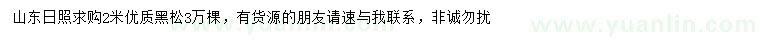 求購2米黑松