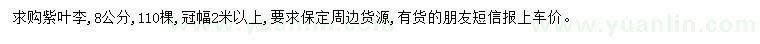 求購8公分紫葉李