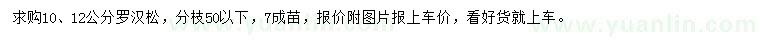 求購10、12公分羅漢松