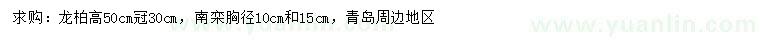 求購高50公分龍柏、胸徑10公分南欒