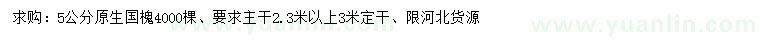 求購5公分原生國槐