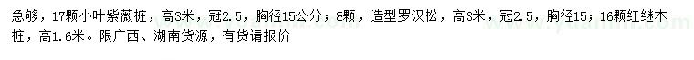 求購(gòu)小葉紫薇樁、造型羅漢松、紅繼木樁