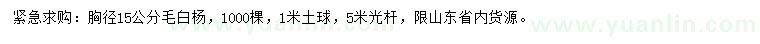 求購胸徑15公分毛白楊