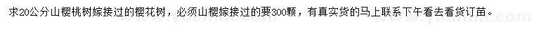 求購20公分櫻花